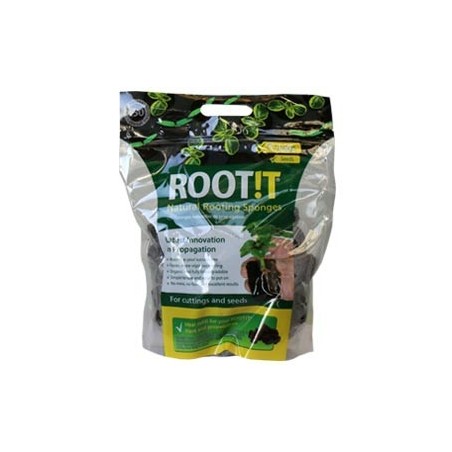 Root It cubes de propagation