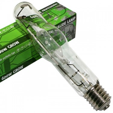 Ampoule Pure Light MH Croissance 600 W