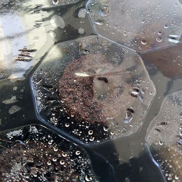 Plateau Plugins Pro Xtract