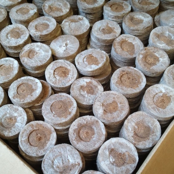 Jiffy 7 en Tourbe de 33 mm