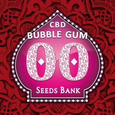 Bubble Gum CBD cannabis médical