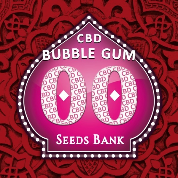 Voir Bubble Gum CBD cannabis médical