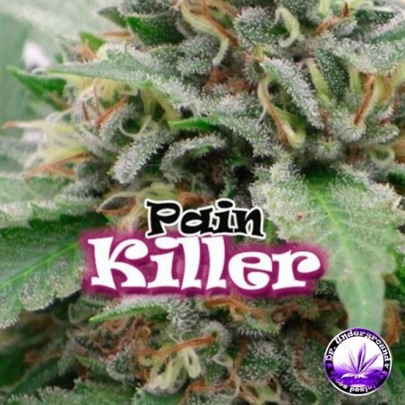 Painkiller