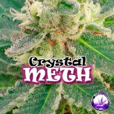 Crystal M.E.T.H.