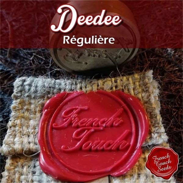 Voir Plante de cannabis DeeDee