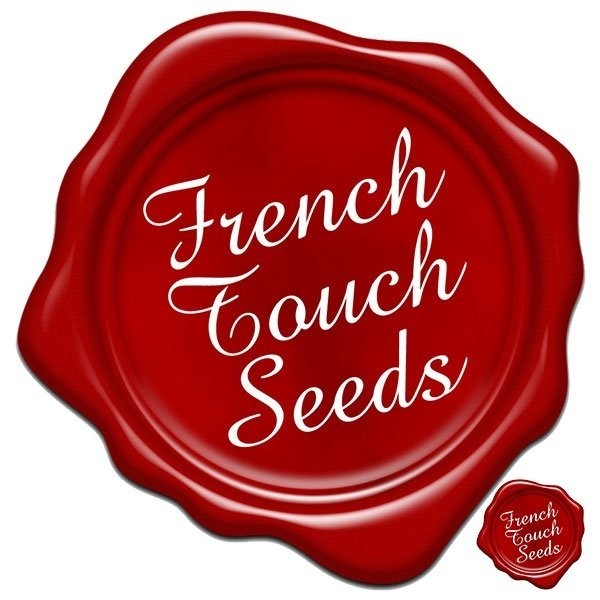 Voir Plante de marijuana Renaissance regulière