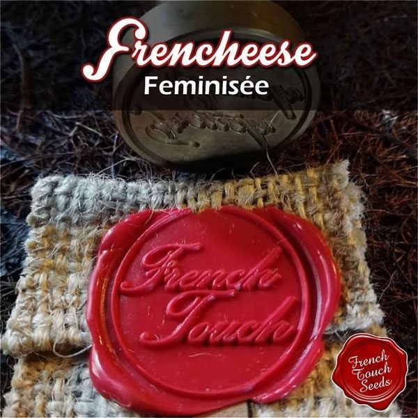 Voir Plante de cannabis Frencheese