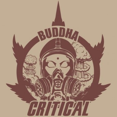 Buddha Critical féminisée de Buddha Seeds - Grow Barato