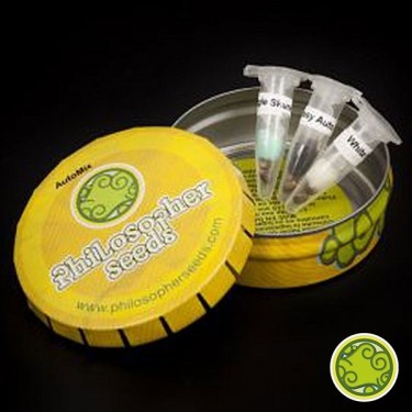 Plante de marijuana Auto Mix