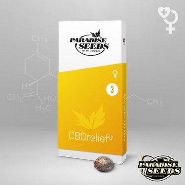 CBDrelief graine féminisée de Paradise Seeds - Grow Barato