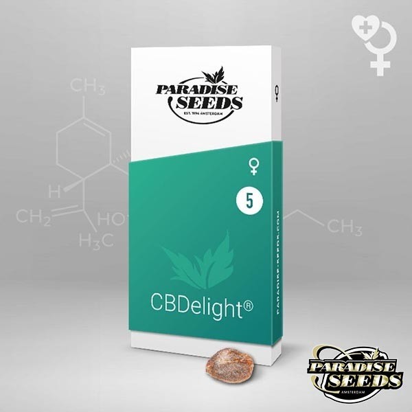 CBDelight de la banque de Paradise Seeds. - Grow Barato