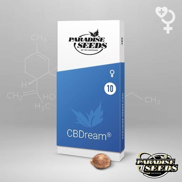 CBDream graine féminisée de Paradise Seeds - Grow Barato