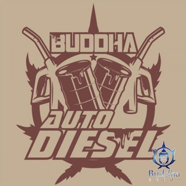 Buddha Auto Diesel autofloraison Buddha Seeds - Grow Barato