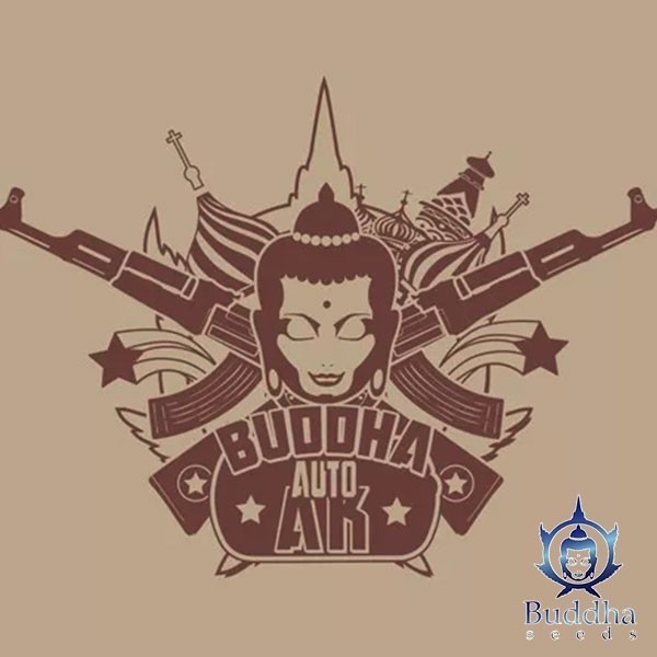 Voir Buddha Auto AK féminisée