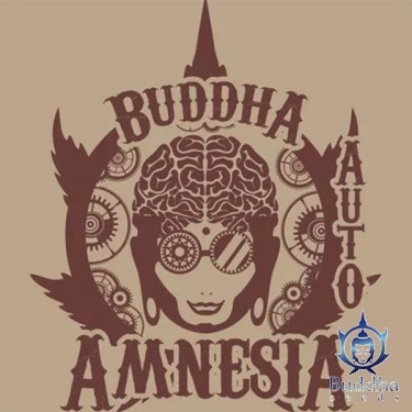 Buddha Auto Amnesia de Buddha Seeds - Grow Barato