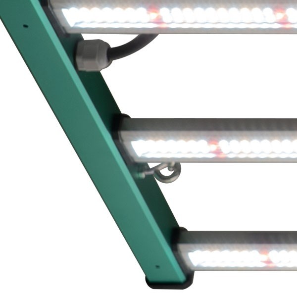 Système d'éclairage LED pour plantes