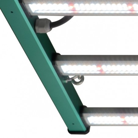 Système d'éclairage LED pour plantes