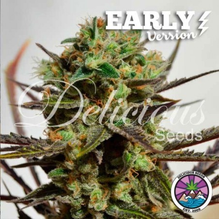 Acheter Delicious Candy Early Version - Grow Barato
