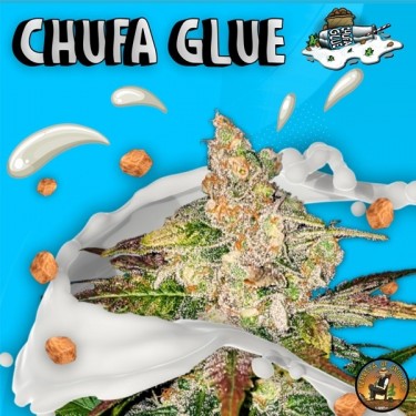 Chufa Glue de Terreta of Growers - GB The Green Brand