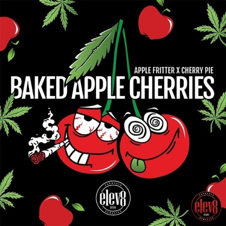 Baked Apple Cherries d'Elev8 Seeds