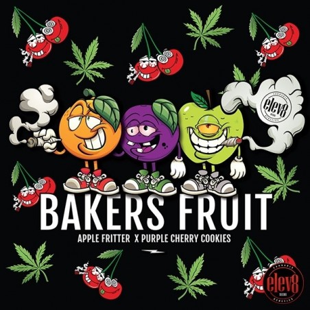 Plante de cannabis Bakers Fruit