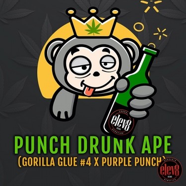 Punch Drunk Ape d'Elev8 Seeds