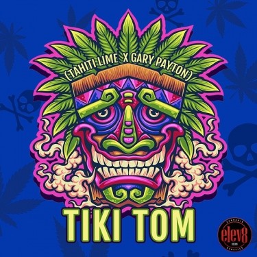 Tiki Tom féminisée d'Elev8 Seeds