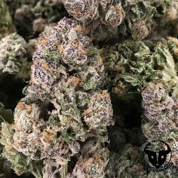 Voir Dark Ghost Train féminisée