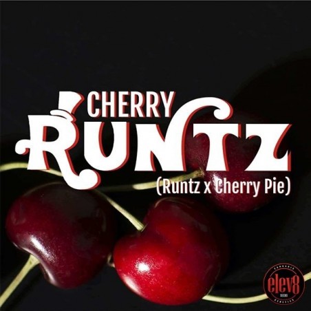 Plante de cannabis Cherry Runtz