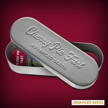 Cherry Pie Fast Plante de cannabis