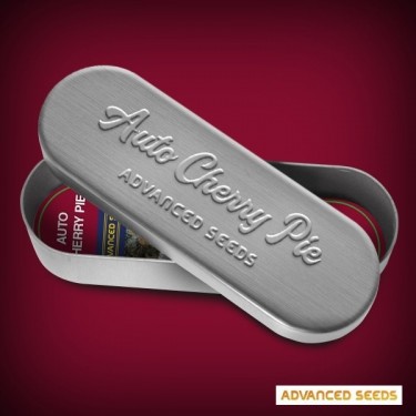 Auto Cherry Pie Plante de cannabis
