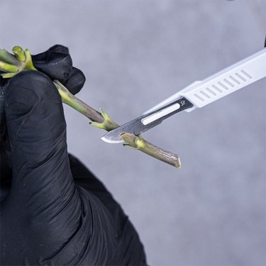 Kit spéciale taille GB bistouri