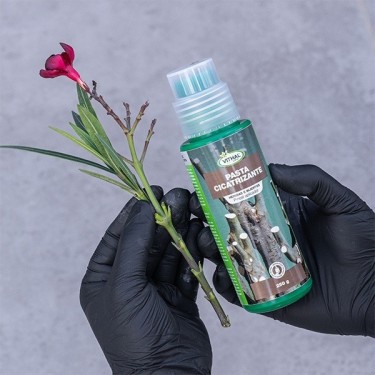 Kit spécial taille pour cannabis et autres plantes - GB The Green Brand