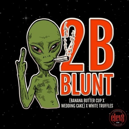 Plante de cannabis 2B Blunt