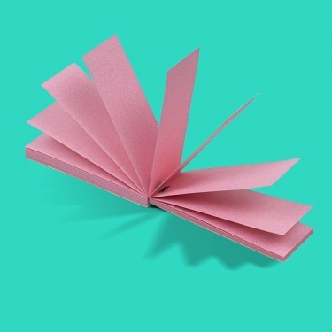 Filtres en Carton Rose KEMA - GB The Green Brand