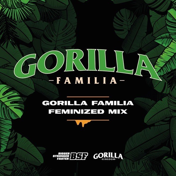 Voir Achetez Gorilla Familia MIx BSF Seeds - GB