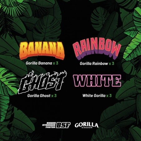Achetez Gorilla Familia MIx BSF Seeds - GB