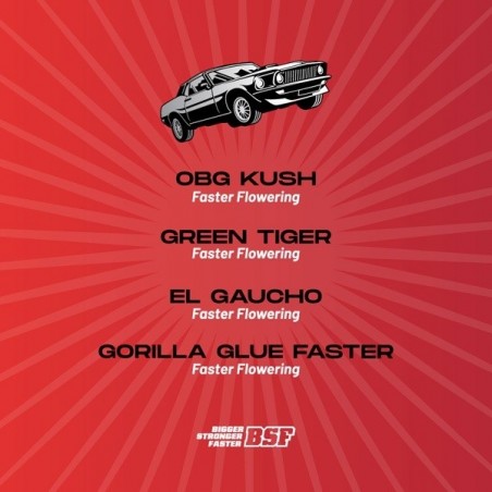 Faster and Furious Faster Mix souches