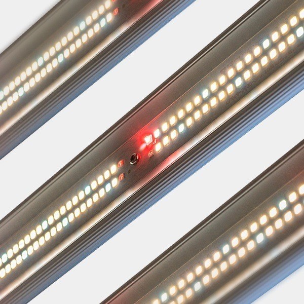 Système LED Dimmable 600W V3.0 GB Lighting - GB The Green Brand