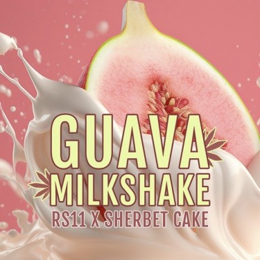 Guava Milkshake d'Elev8 Seeds - GB The Green Brand