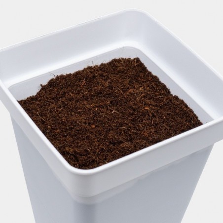 Coco Mix GB Nutrients pot