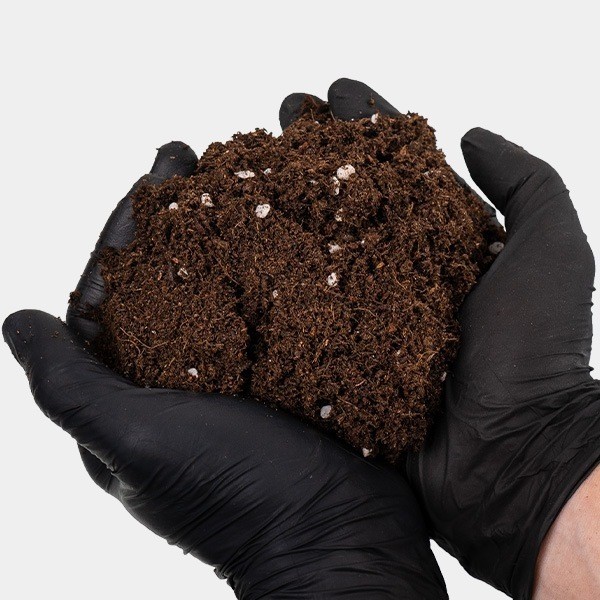 Light Mix GB Nutrients mains