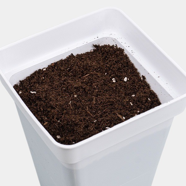 Light Mix GB Nutrients pot