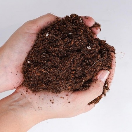 Light Mix de Boom Nutrients Terreau léger - GB The Green Brand