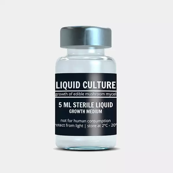 Voir Liquide de Culture de Mycélium