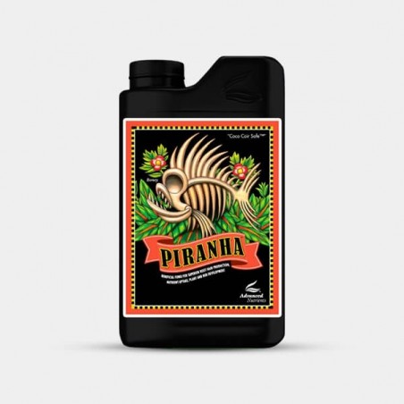 Piranha champignons bénéfiques