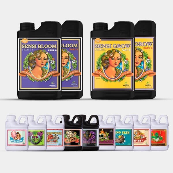 AN Professional Pack