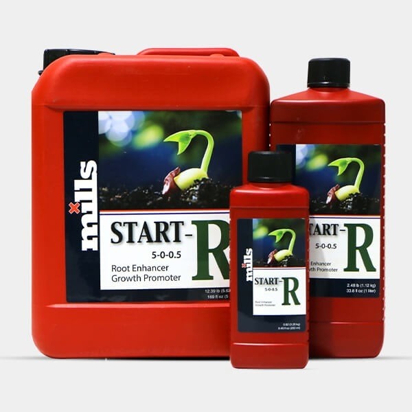 Voir Start de Mills stimulateur racinaire - Grow Barato