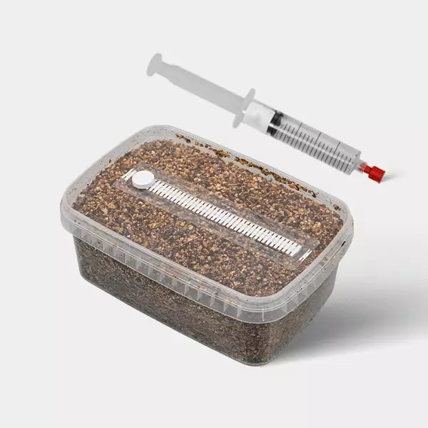 Voir Kit d'études microscopiques de spores de champignons (+ Tupperware)