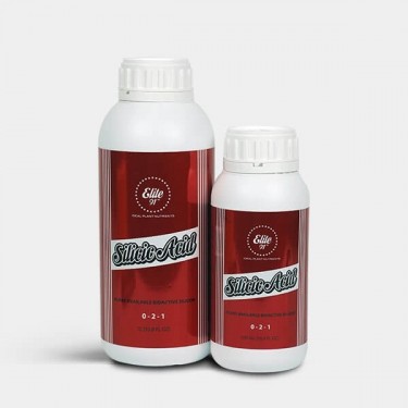Acheter Silicic Acid d'Elite 91 - GB The Green Brand
